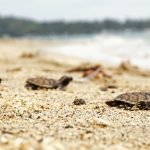 _DSC6394-01