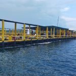 Taman Laut