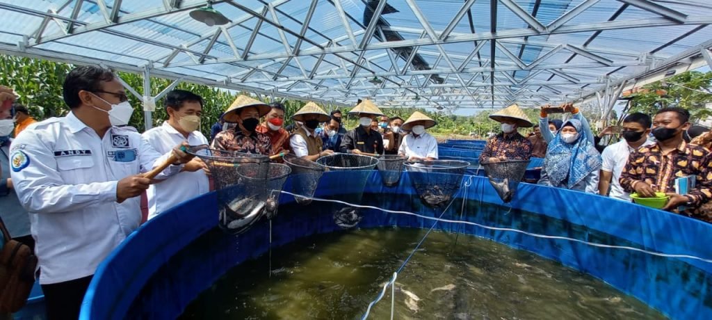 Kampung Lele di Kota Prabumulih (1)