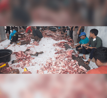 qurban-ptk-1
