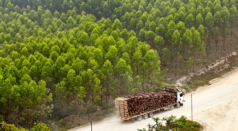 Web Thumbnail 800x440