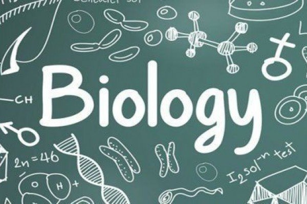 biology-pic-1-f40adbcb64d358af0c22fd219afc20d7_600x400