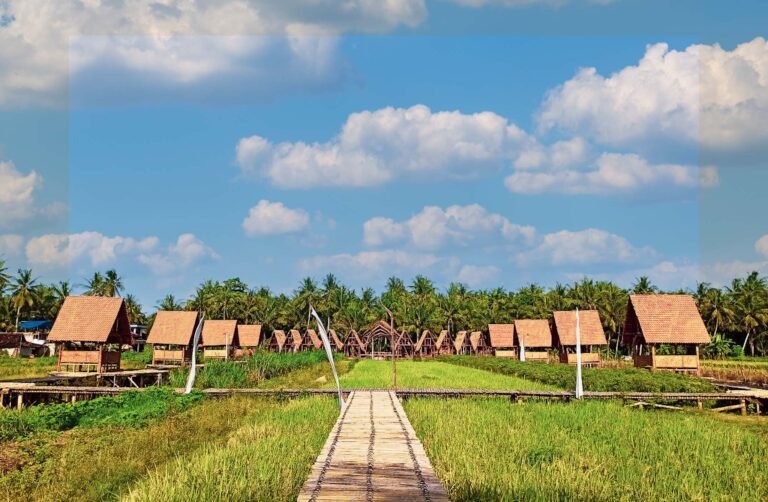 sawah-surjanjpg