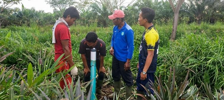 pemantauan gambut mencegah kebakaran karhutla smoldering fire