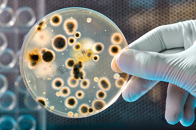 Defining dual-use research: When scientific advances can both help and hurt humanity
