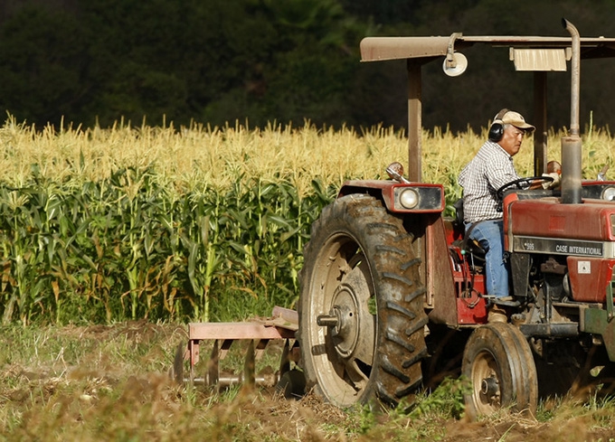 Organic farming matters - just not in the way you think