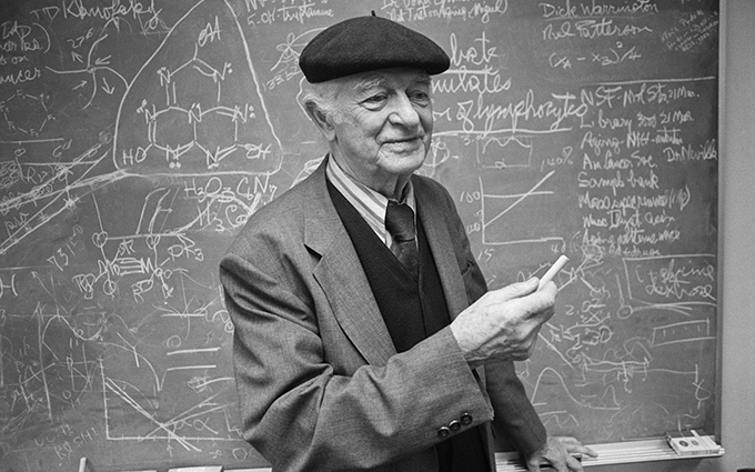 University of London: Whites can’t teach