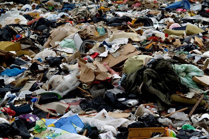 How disgust stops us from living sustainably – and how to stop it