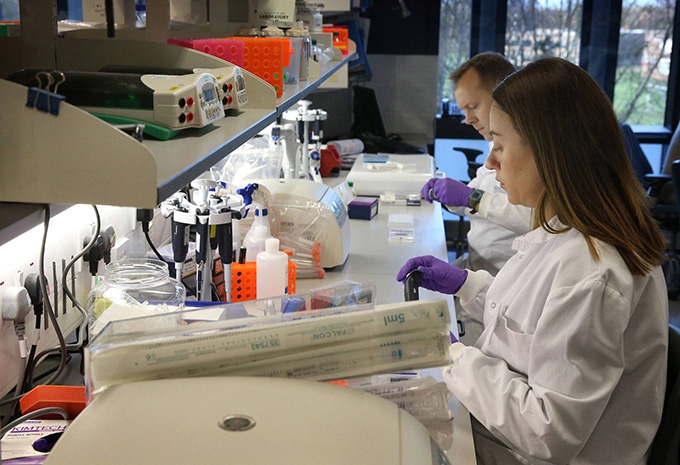 How much cancer research is fake?
