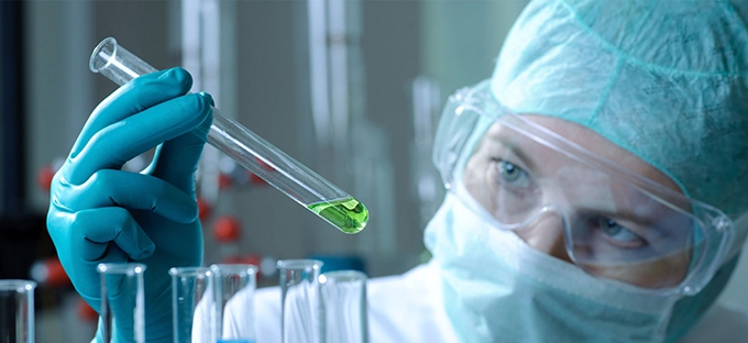 Understanding the cell proliferation and cancer relationship