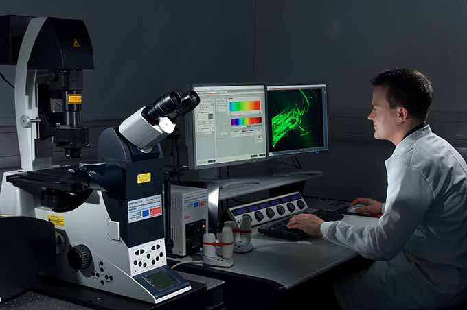How cutting-edge microscopy is changing science