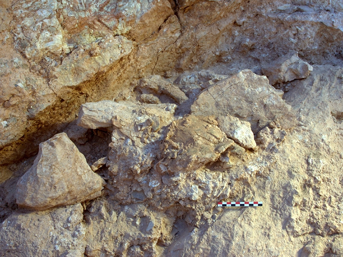 Humans evolved 100,000 years earlier than we thought – and not just in east Africa