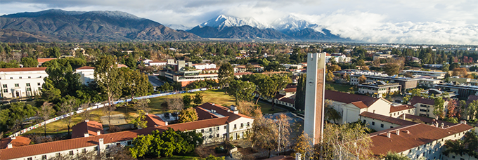 Professor to be fired for being white?