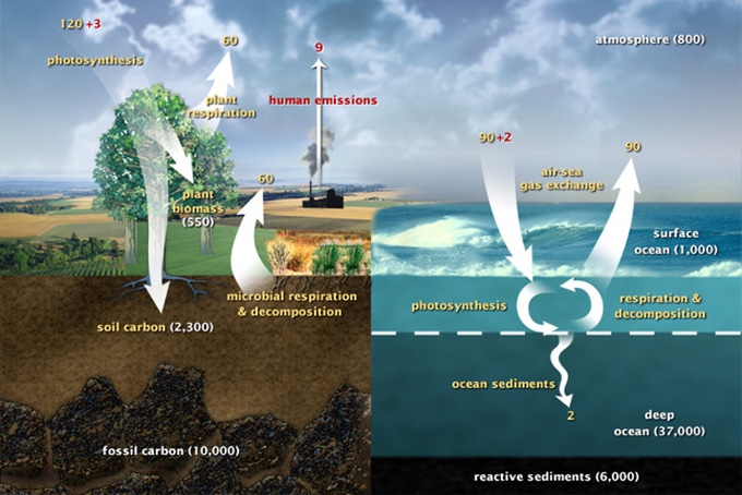 Curbing climate change: Why it’s so hard to act in time