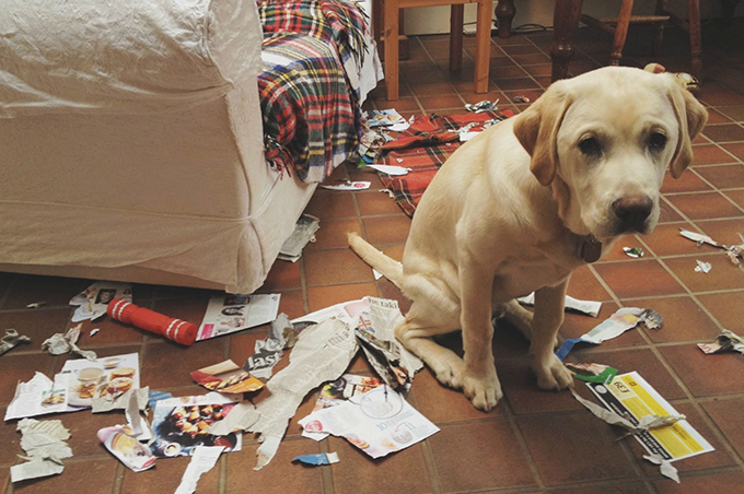 Guilty, as charged