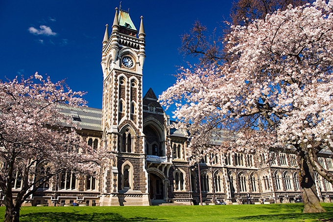 Students will suffer if Australia and New Zealand change tertiary fee agreement