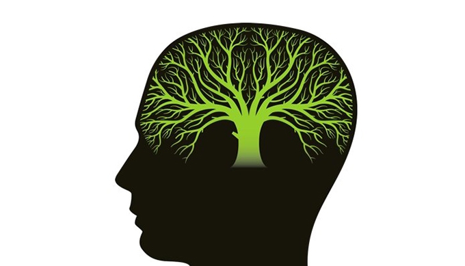 Your biggest asset for academic career success? A growth mindset