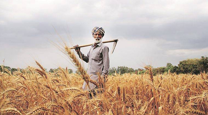 Five ways India must help its farmers face the threat of climate change
