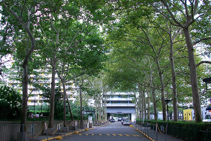 We calculated how much money trees save for your city