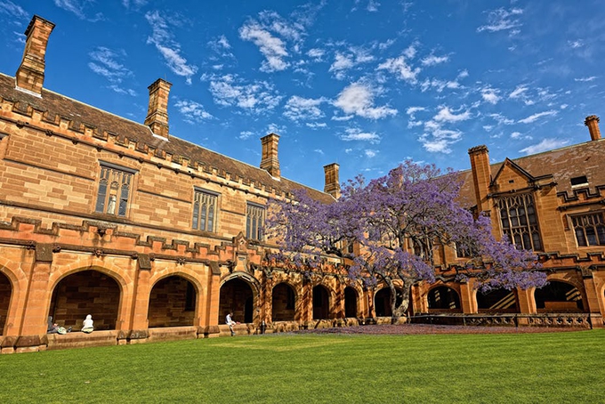 To be good or well ranked? The dilemma of higher education institutions