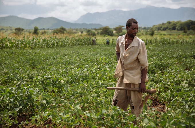 North-South research partnerships must break old patterns for real change