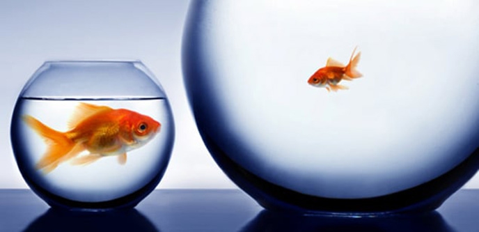 Graduate education “reformers” won’t ask the graduates for advice