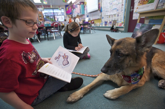 Dogs in the classroom – coming to a school near you soon?