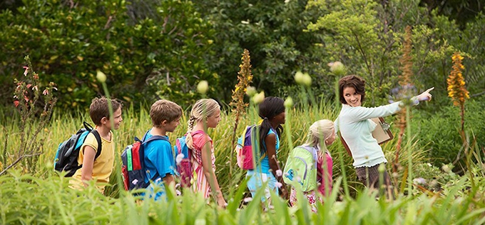 Outdoor learning has huge benefits for children and teachers — so why isn’t it used in more schools?