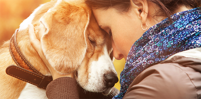 How therapy pets can support adopted children - and parents