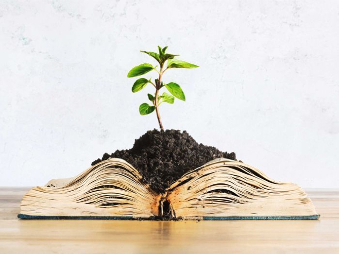 University: how to introduce sustainable development into training?