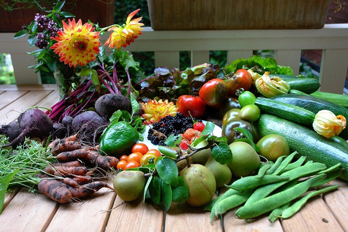 How to better preserve food with smart lighting