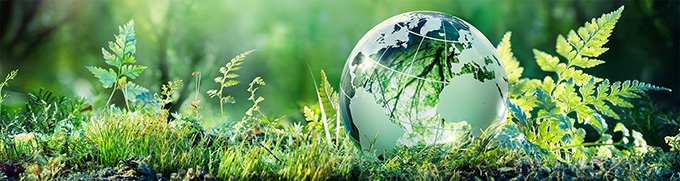A sustainable response to the pandemic begins locally