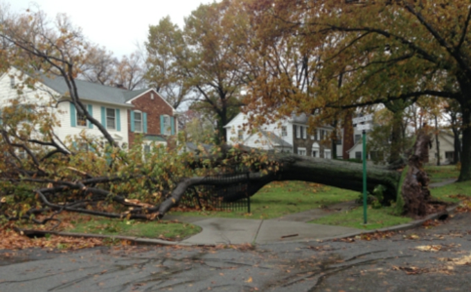Hurricane preparedness: Tips to prepare your home and family