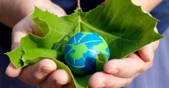 Management: teaching collective action for ecological transition