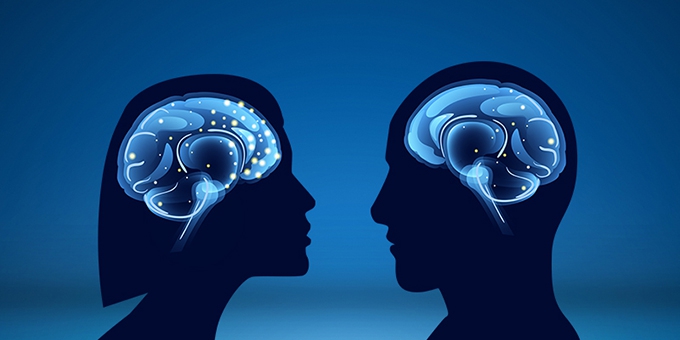 Brain scientists haven’t been able to find major differences between women’s and men’s brains, despite over a century of searching