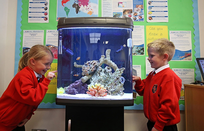 Classroom aquariums: Tools to make education fun!