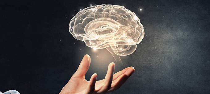 Knowing the brain well teaches us to improve learning