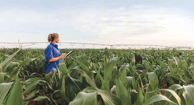 The future of agriculture: why unis must prepare students to secure both our food and our planet