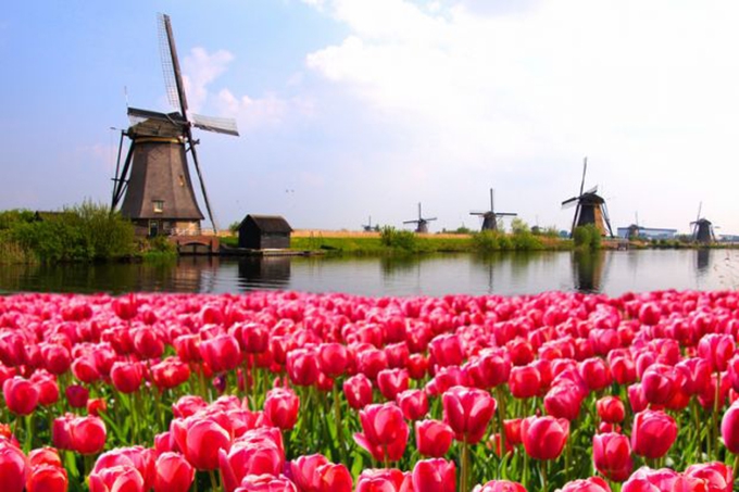 For non-Western scholars, Dutch universities are hostile environments
