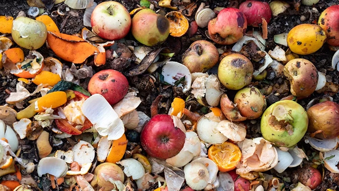 About one-third of the food Americans buy is wasted, hurting the climate and consumers’ wallets