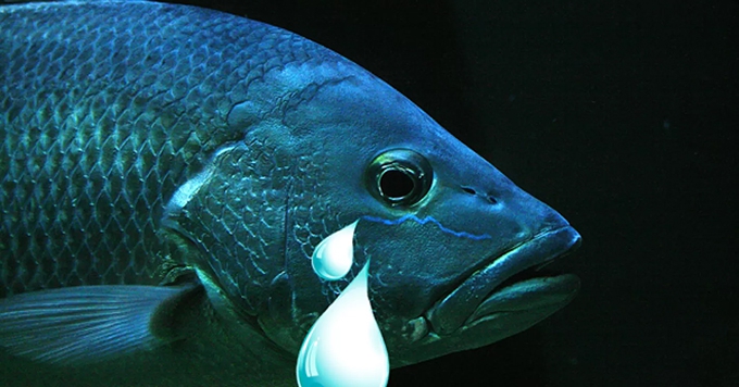 'Sadfishing': displaying suffering on social media to seek sympathy (and reactions)
