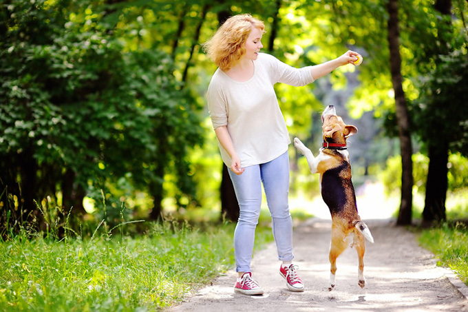Fetch! Shutterstock