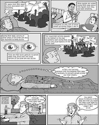 Page from Biological Psychology – An illustrated Survival Guide. Author provided