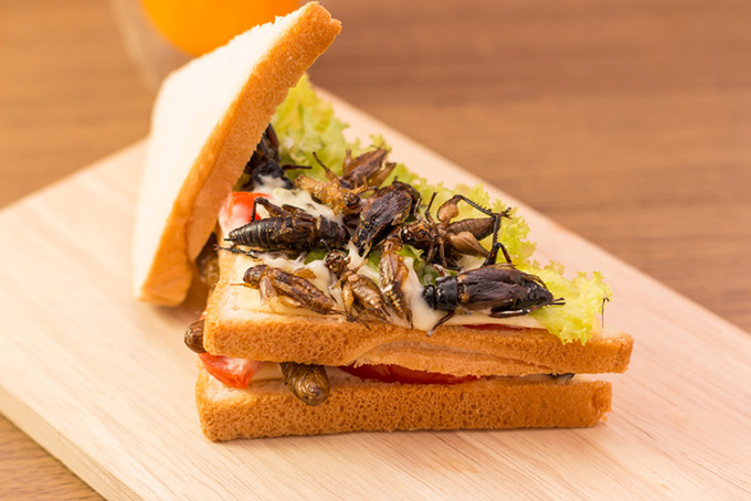 Insect sandwich, anyone? shutterstock.com